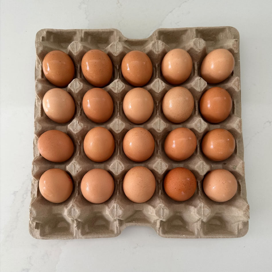 Free Range Eggs 20 tray 900 gm