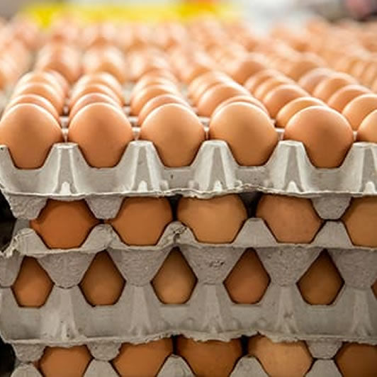 BULK ORDER - 6 x Free Range Eggs 30 tray 700 gm TRAYS